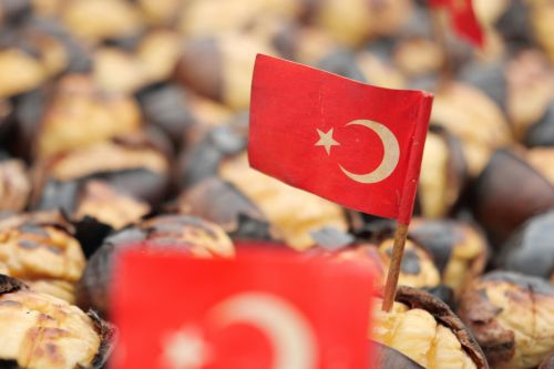 PROJEKT ERASMUS+ W TURCJI